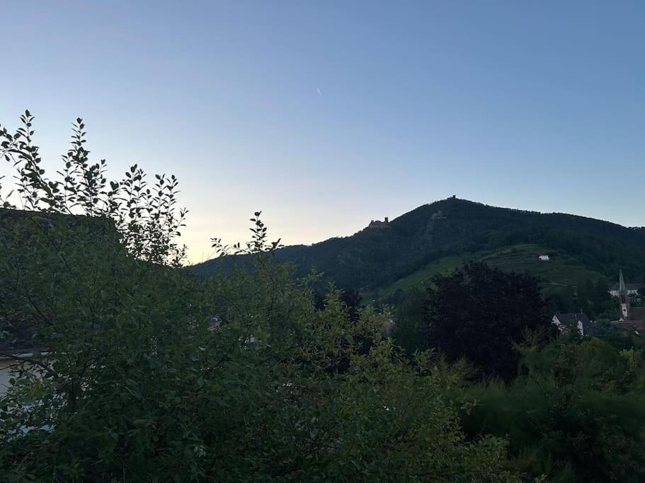 Vue Magnifique Sur Les Chateaux Ribeauvillé Eksteriør billede