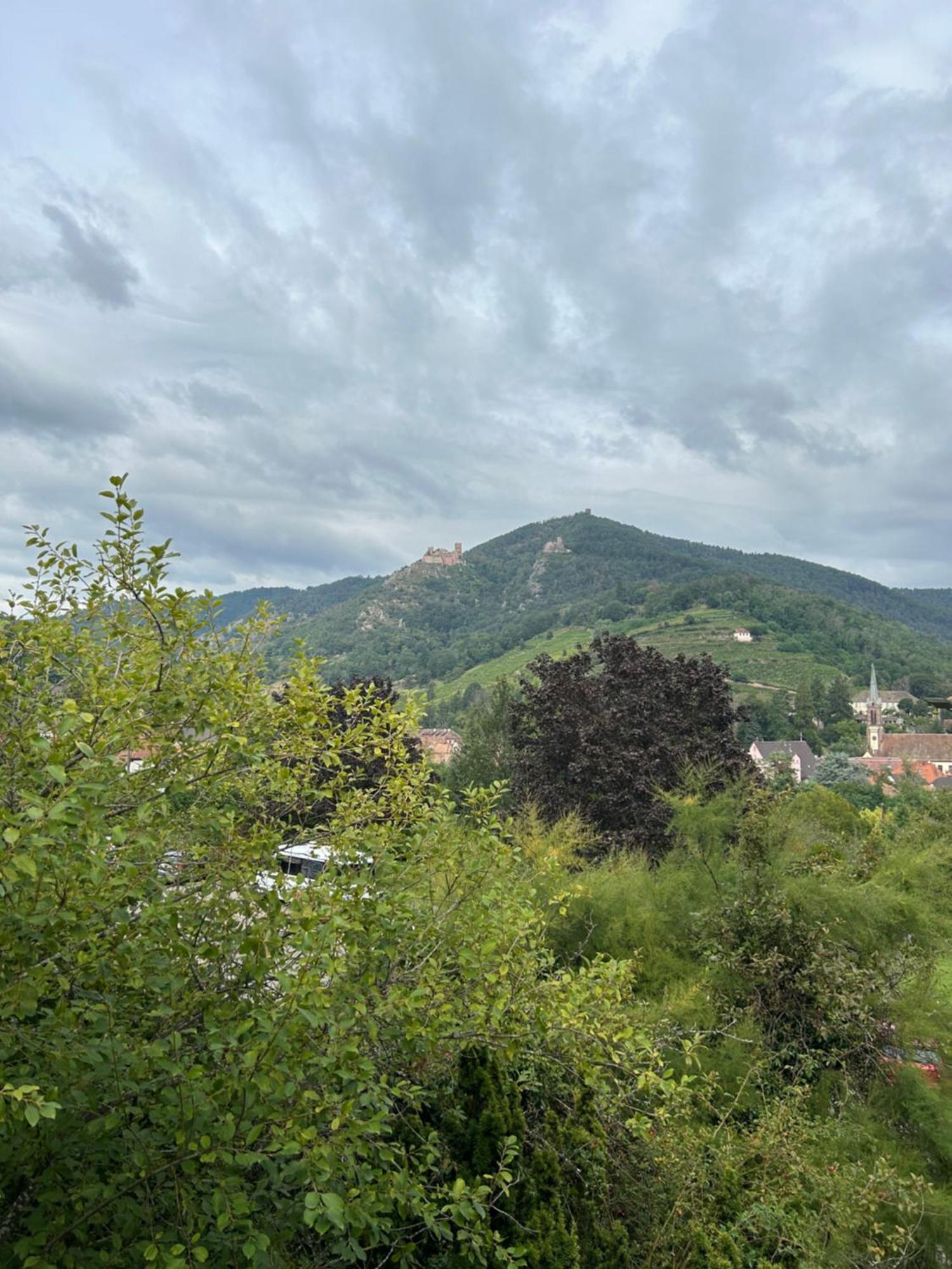 Vue Magnifique Sur Les Chateaux Ribeauvillé Eksteriør billede